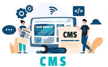 cms web development.