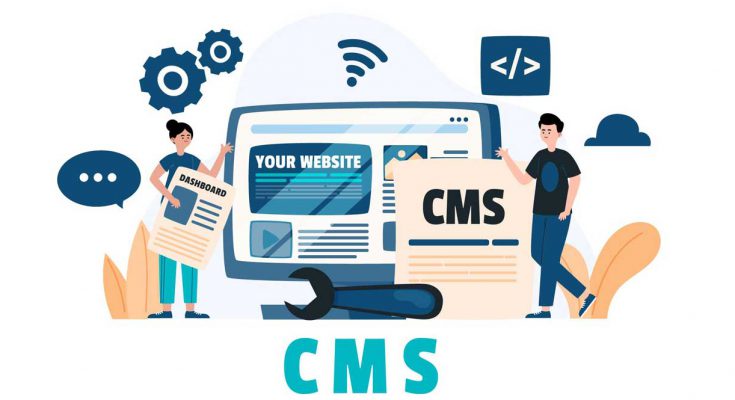 cms web development.